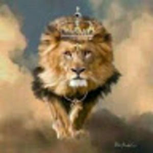 Meet your Posher, Marlion